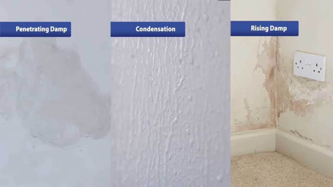 Rising damp on wall