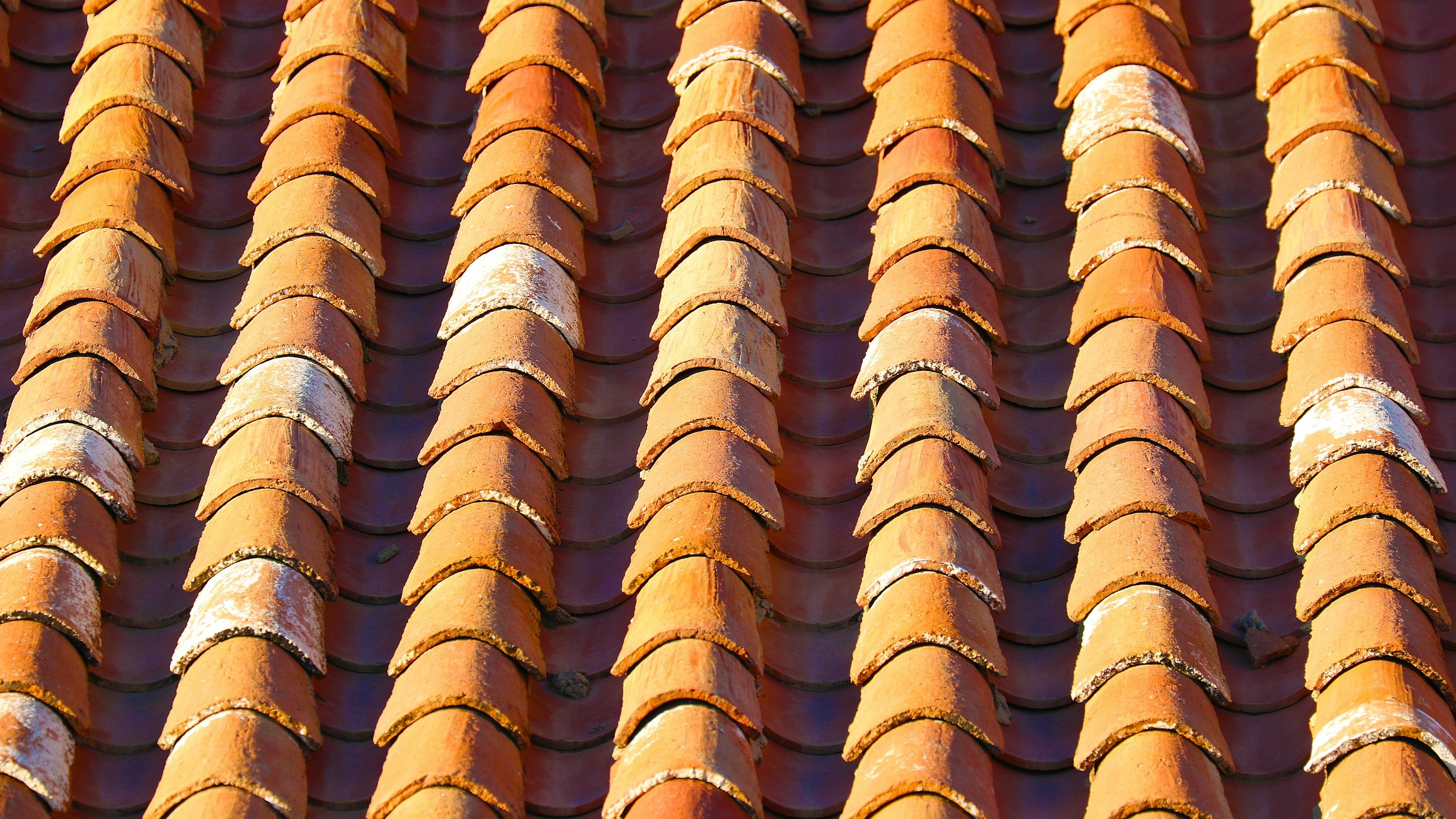 Tiled roof close-up